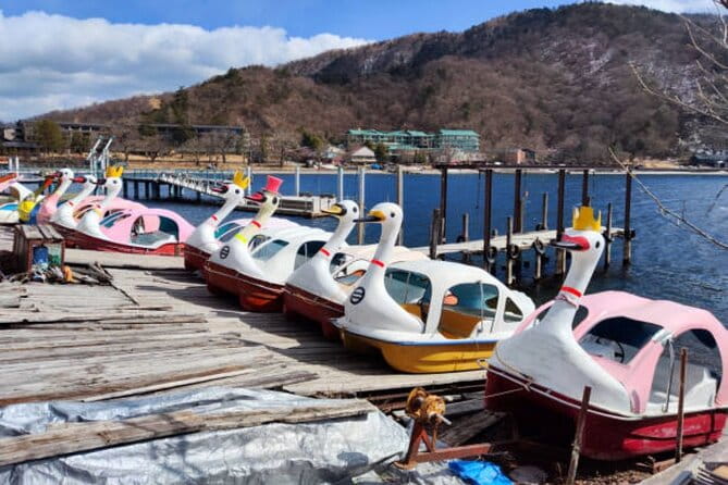 Nikko Toshogu Shrine Tour From Tokyo With Pro Guide & Driver - Pickup and Meeting Details