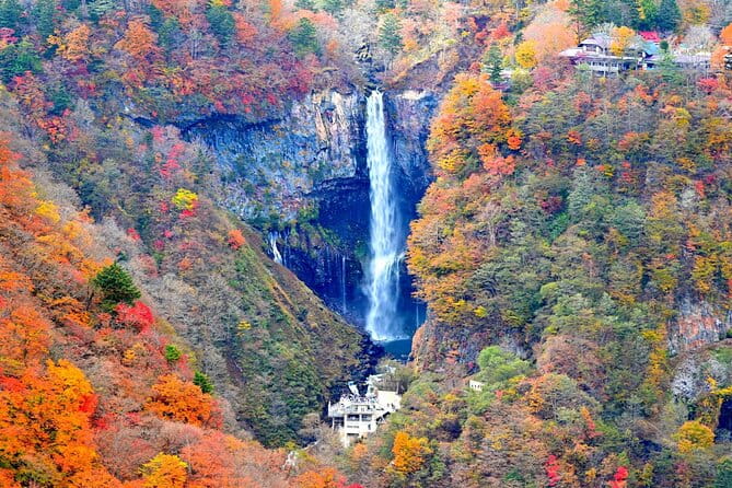 Nikko Tour From Tokyo With Licensed Guide via Private Car - Accessibility and Participation