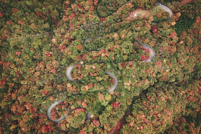 Nikko World Heritage 1 Day Tour - Savoring the Japanese Lunch