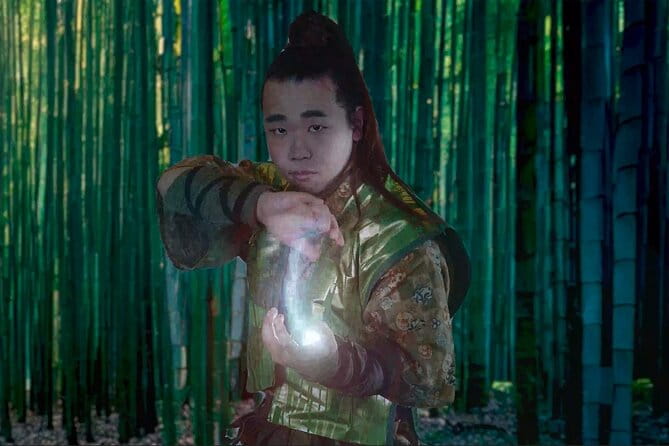 Ninja Show in Osakas Namba - Accessibility Options