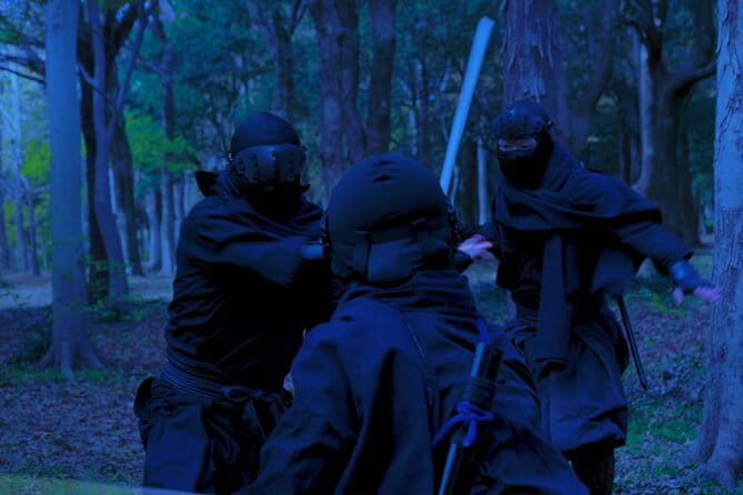 Ninja Show in Osakas Namba - Transportation Options