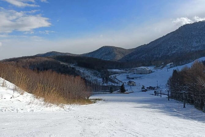 Niseko to Chitose Airport or Sapporo Private Transfer - Booking and Confirmation