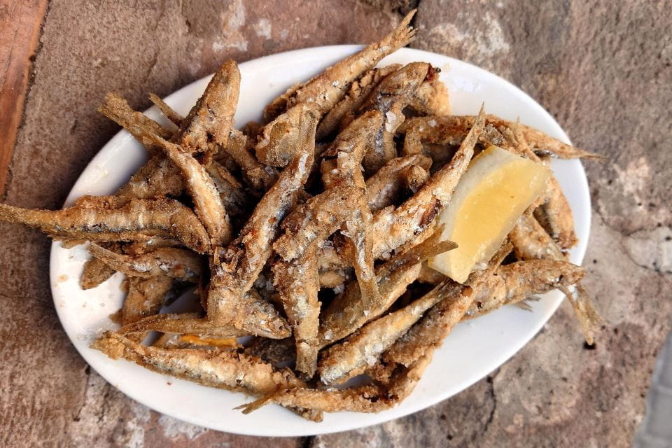 No Diet Club - Unique Local Food in Barcelona - Things To Know