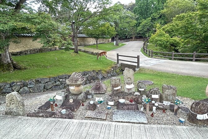 No Emission Car Nara Private Tour From Kyoto With Japanese Guide - Accessibility