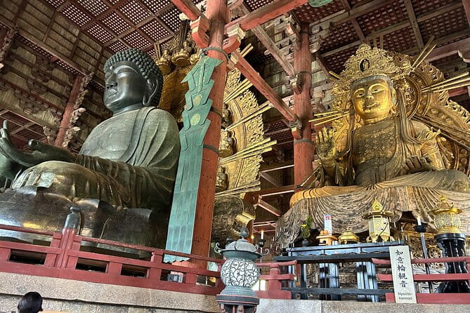 No Emission Car Nara Private Tour From Kyoto With Japanese Guide - Experiences Along the Way