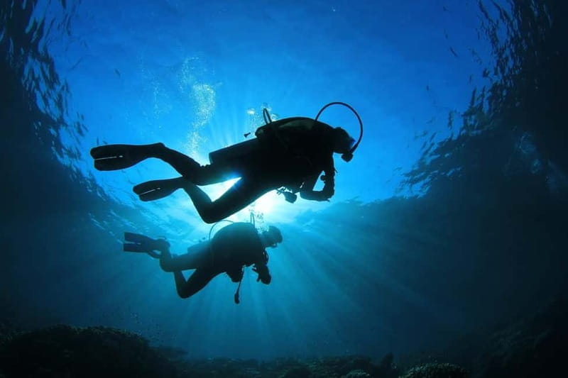 No Experience Needed-Discover Scuba Diving with Pickup - Detailed Breakdown of the Itinerary and Experience