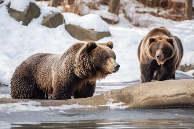 Noboribetsu Bear Park Admission Ticket | Hokkaido - Nearby Attractions and Activities