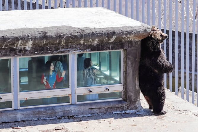 Noboribetsu Lake Toya and Sapporo Otaru Full Day Tour - Health and Safety Guidelines