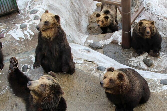 Noboribetsu Lake Toya and Sapporo Otaru Full Day Tour - Lake Toya Scenic Views