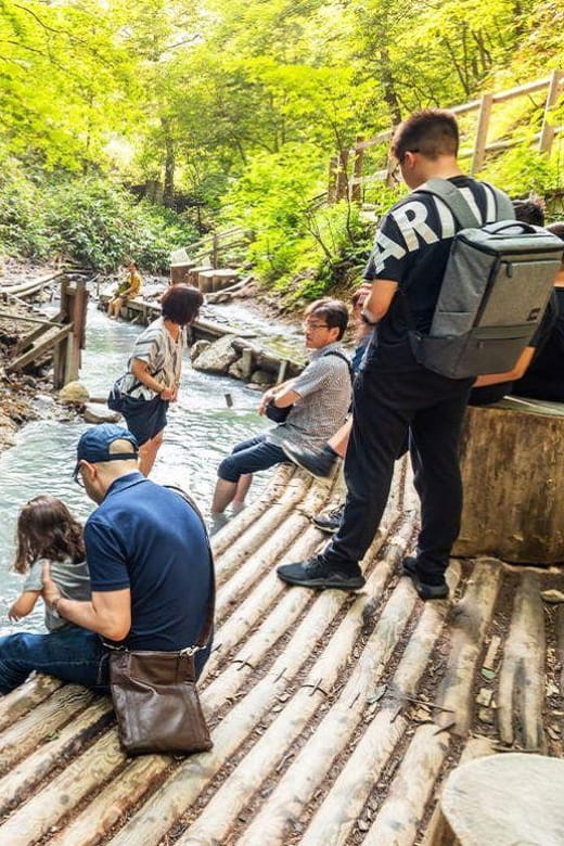 Noboribetsu Lake Toya & Otaru Tour Review - Overall Impression and Recommendation