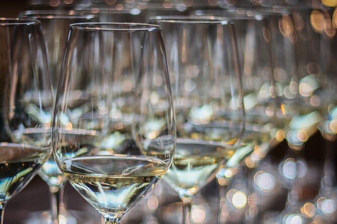 Non-Alcoholic Wine Tasting with an Expert - Who Will Love This Experience?