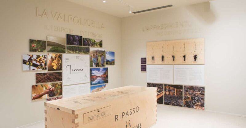 Non guided tour of the wine museum and amarone tasting - Discovering the Veneto Wine Museum: An Authentic Snapshot of Regional Heritage