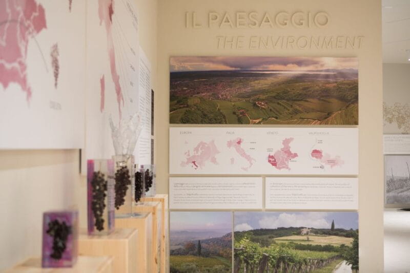 Non guided tour of the wine museum and amarone tasting - Price and Value Analysis