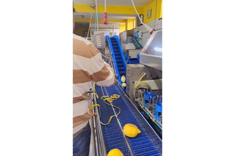 Nonna Concettina Sorrento lemon tour Lemon Tour - FAQ