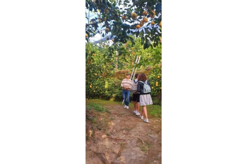 Nonno Mario Lemon Tour - Key Points / Takeaways