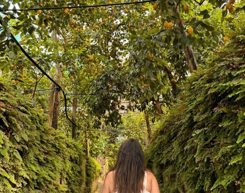 Nonno Mario Lemon Tour - Unique Highlights of the Tour