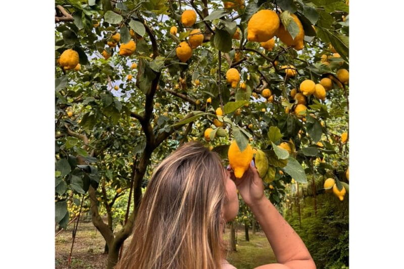 Nonno Mario Lemon Tour - How This Tour Adds Value