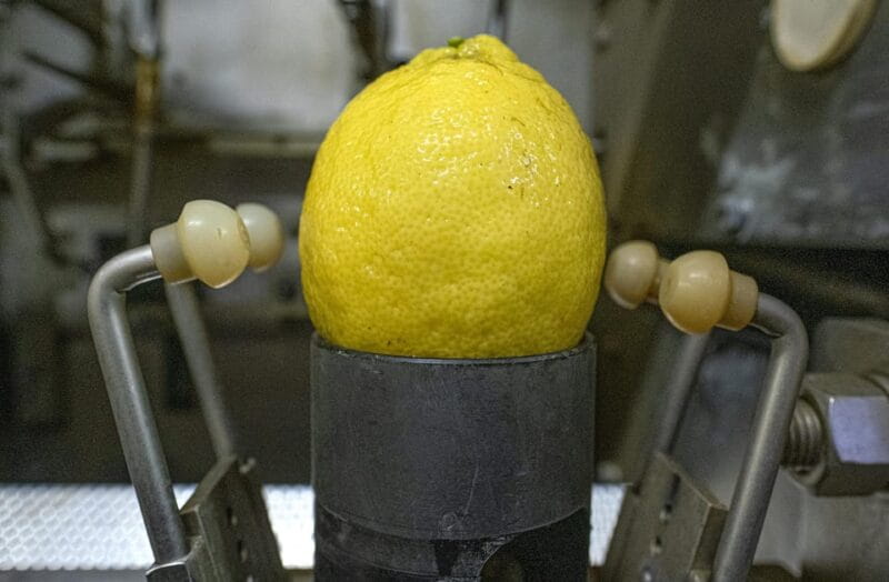 Nonno Mario Lemon Tour - Who Would Enjoy This Tour?