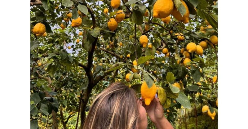 Nonno Mario Lemon Tour - Final Recommendations