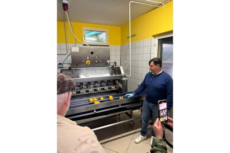 Nonno Mario Lemon Tour - FAQ