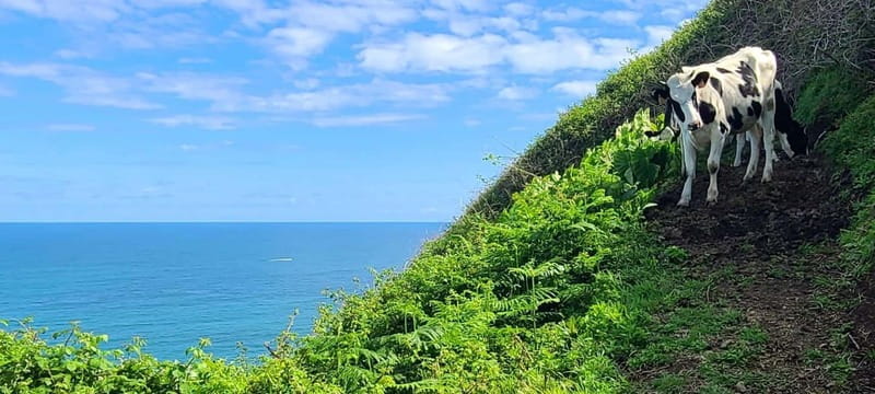 Nordeste/Northeast coast FULL DAY Waterfalls Hike - Discovering the Hidden Waterfalls of São Miguels Northeast Coast