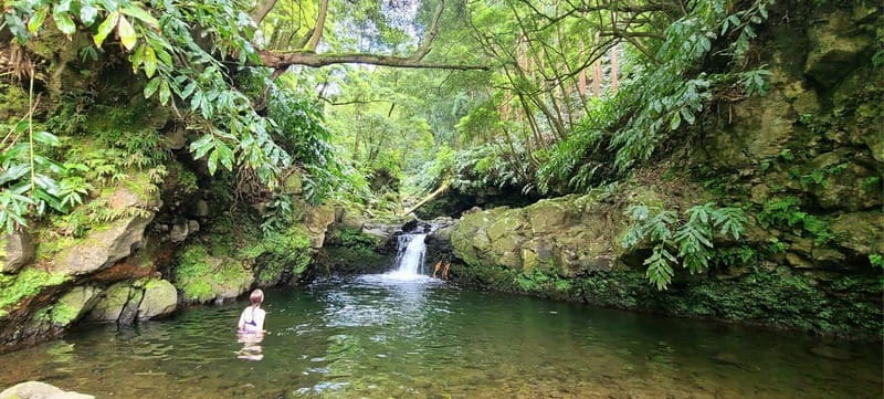 Nordeste/Northeast coast FULL DAY Waterfalls Hike - Price and Logistics: Value for Your Money