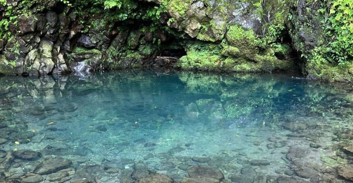 Nordeste Waterfalls Half Day Hike - Trilho Moinho Do Felix - Cascatas