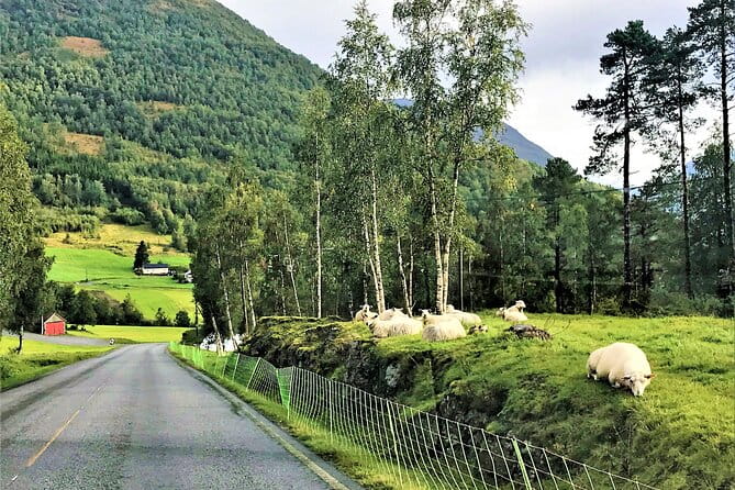 Nordfjordeid Private Shore Excursion, Glaciers and SkyLift Ride - Olden: A Glimpse of Village Life and Glacial Wonders