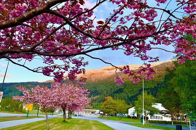 Nordfjordeid Private Shore Excursion, Glaciers and SkyLift Ride - The Scenic Drive Through Oldedalen Valley