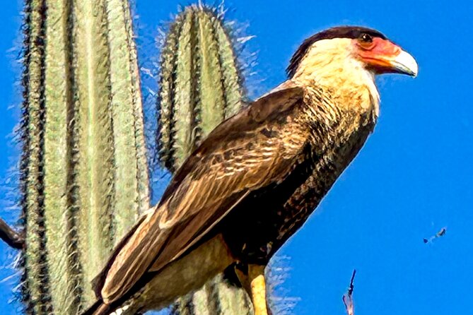 North Bonaire Private Island Tour - Tour Overview