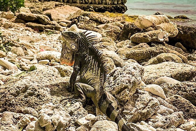 North Bonaire Private Island Tour - Booking and Cancellation