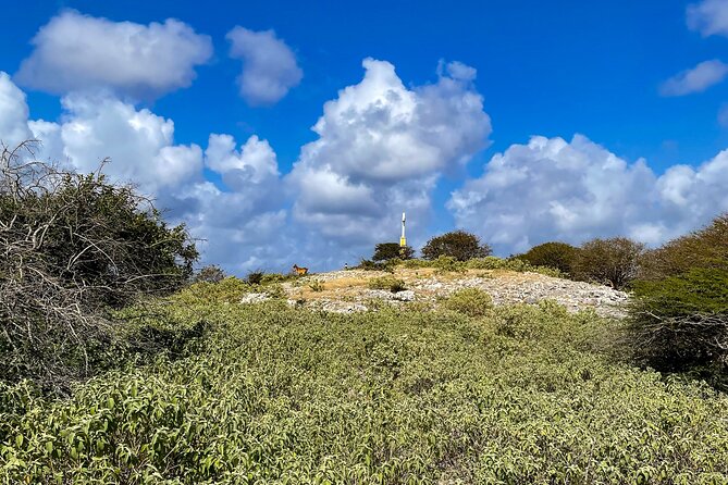North Bonaire Private Island Tour - Highlights and Experiences