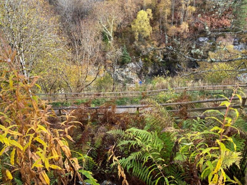 NORTH HIGHLAND TOUR, DUNROBIN CASTLE & MORE FROM INVERGORDON - Whisky Tasting at Clynelish Distillery