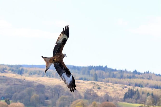 North Highlands from Inverness - Exploring the North Highlands: What to Expect from the Itinerary