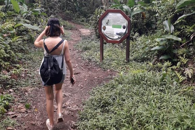 North Island Tour And Martinique Best Secret - Local and Exotic Fruits