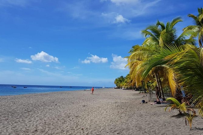 North Island Tour And Martinique Best Secret - Complimentary WiFi in Minivan