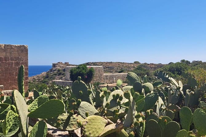 North Malta Quad Bike Tour with Land or Sea Views and Swimming - Who Will Love This Tour?