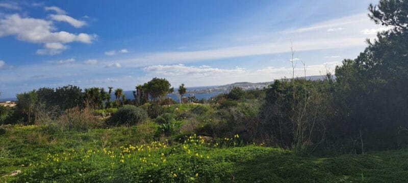 North Malta: Quad Bike Tour with Scenic Land, Sea & Swimming - Exploring Mellieha Village and Final Stops