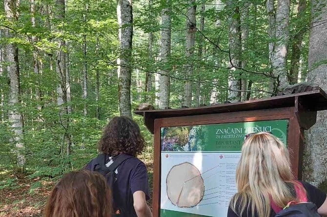 NORTH TOUR Np Biograd Gora-Lake-Moraca Canyon & Monastery-Kolasin - Discovering the Hidden Gems of Montenegros North