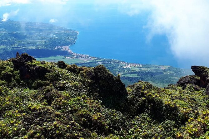 North Tour: Rainforest, Rum Distillery, Black Sand Beach Etc - Balata Cathedral and Saint-Pierre