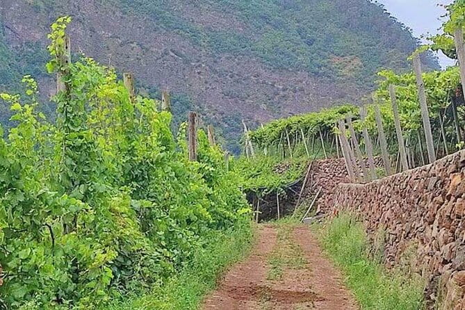 North Tour & Wine Tasting - 4x4 (Small Groups) - Frequently Asked Questions