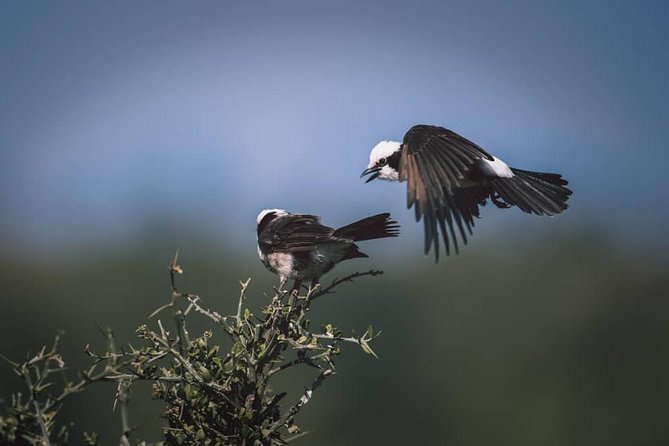 Northern-circuit Adventure - Key Points