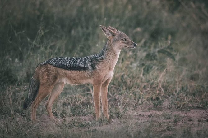 Northern-circuit Adventure - Pickup and Meeting Information