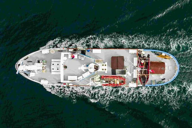 Northern Light cruise on the vintage vessel MS Strønstad - Who is this experience best suited for?