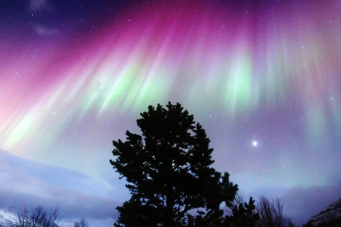 Northern Lights Big Bus Chase with Free Photos - Key Points