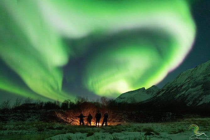 Northern Lights by Minibus. Photos Under the Lights included. Tromso - FAQ