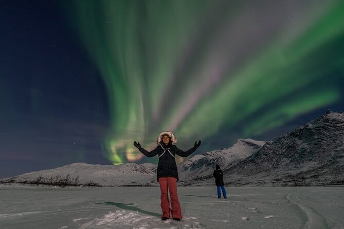 Northern Lights Chase by Minibus - Who Should Consider This Tour?