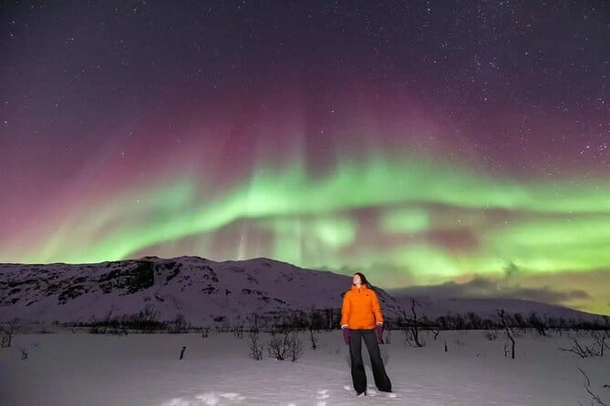 Northern Lights Chase by Minibus - Summary: Is It Worth It?