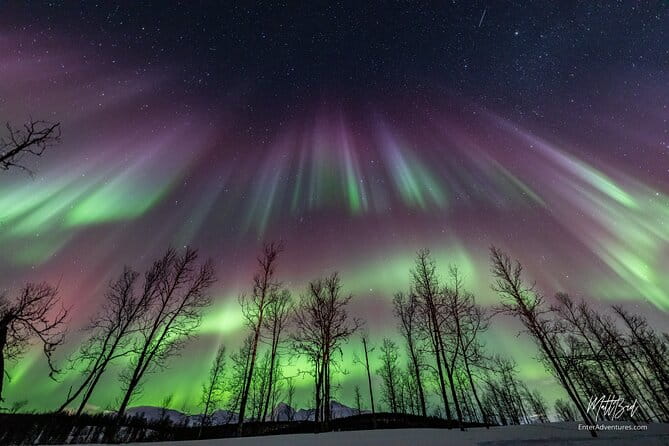 Northern Lights Guided Bus Tour with Snacks Hot drinks - Key points / Takeaways