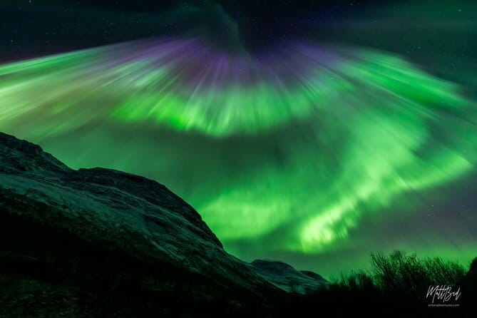 Northern Lights Guided Bus Tour with Snacks Hot drinks - Final Thoughts: Is It Worth It?